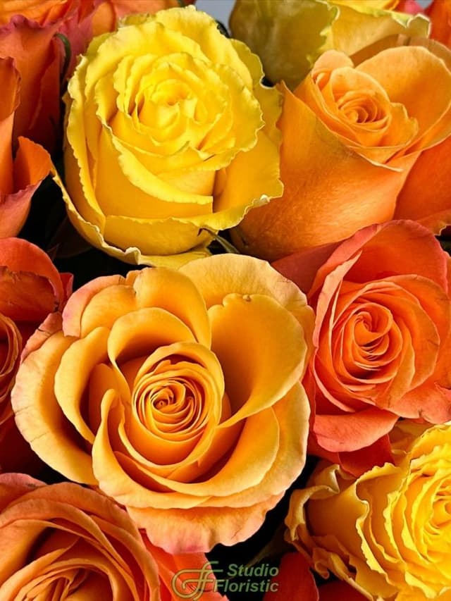 Букет из Роз Кения 60 см желто-оранжевый микс 31 шт «Осенний Поцелуй»