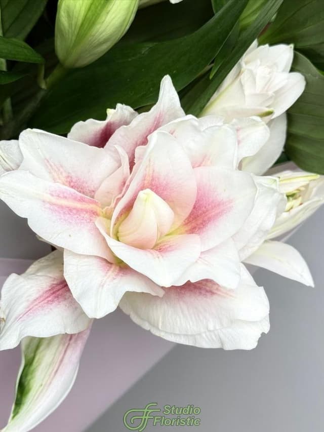 Букет из Махровых Лилий 15 шт «Ода Любви»