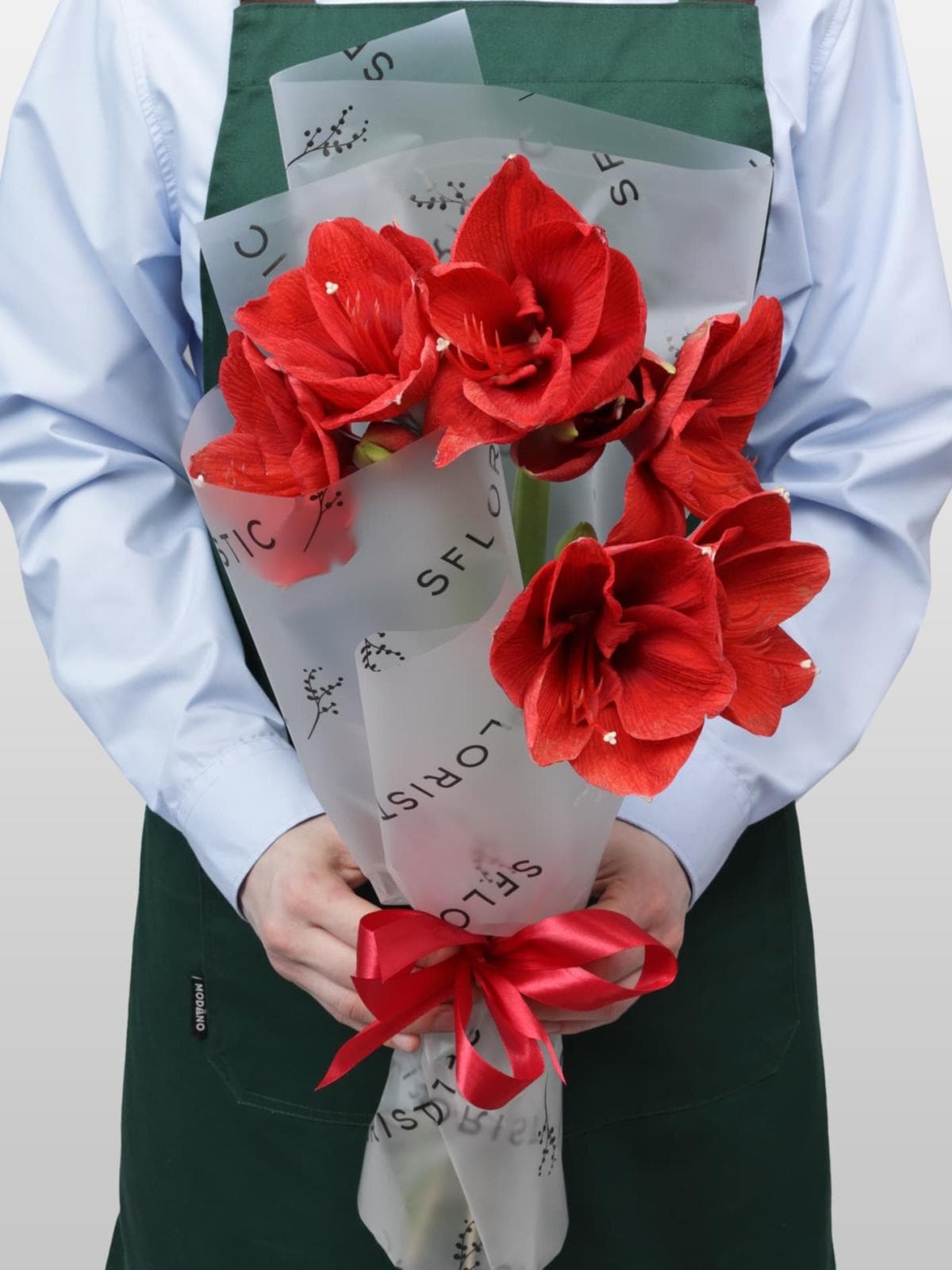 Букет из Амариллиса 3 шт «Зимняя Звезда»