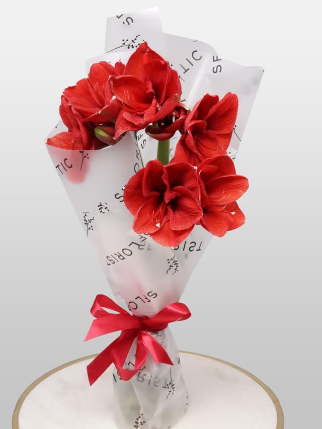 Букет из Амариллиса 3 шт «Зимняя Звезда»