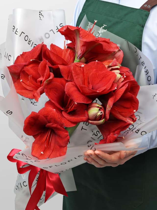 Букет из Амариллиса 5 шт «Огонек на Снегу»