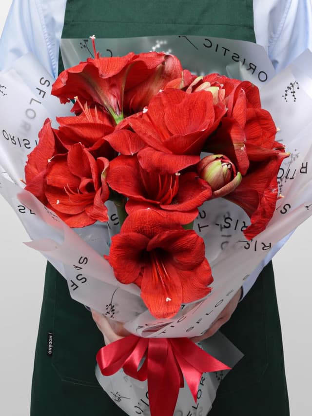 Букет из Амариллиса 5 шт «Огонек на Снегу»