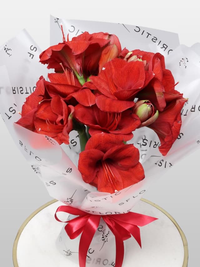 Букет из Амариллиса 5 шт «Огонек на Снегу»