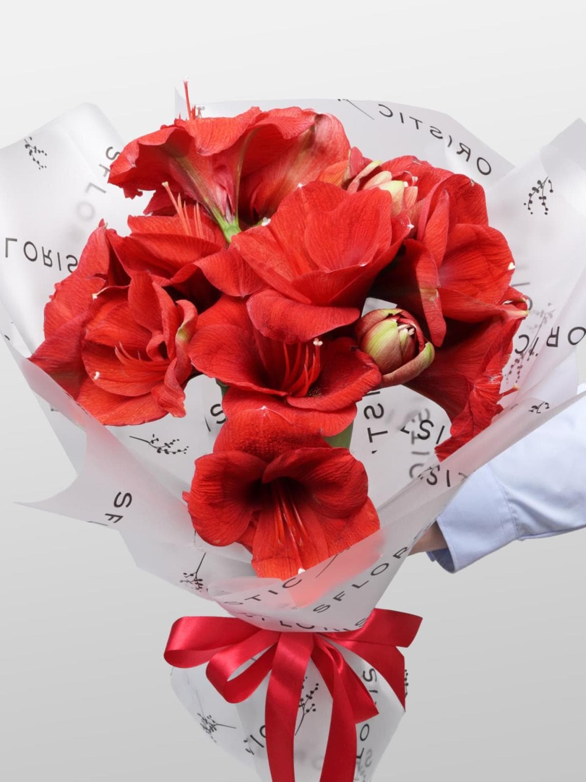 Букет из Амариллиса 5 шт «Огонек на Снегу»