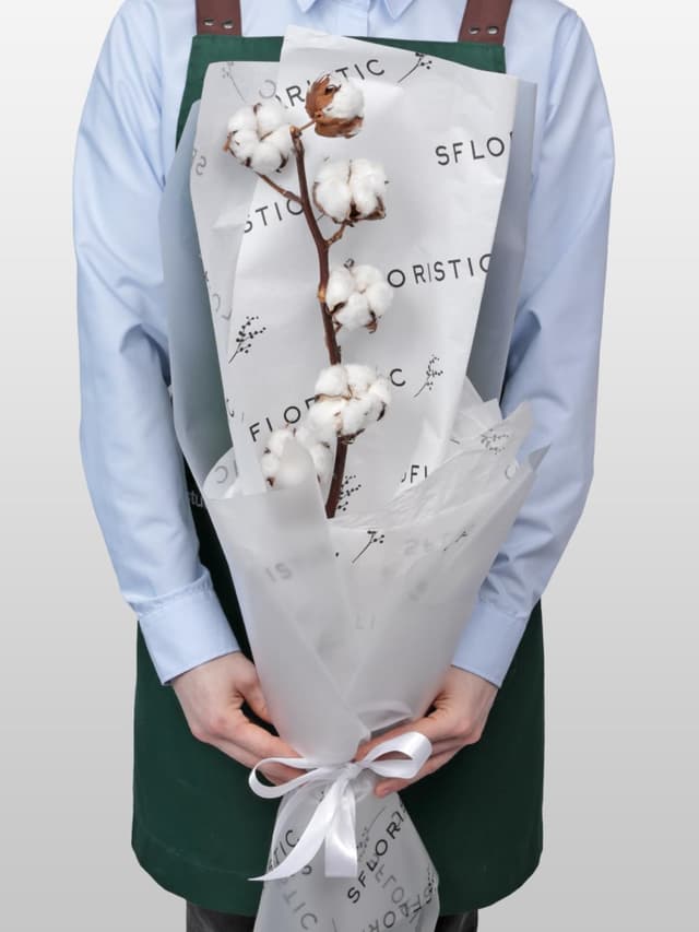 Букет из ветки Хлопка «Мягкое Прикосновение»