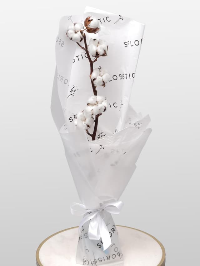 Букет из ветки Хлопка «Мягкое Прикосновение»