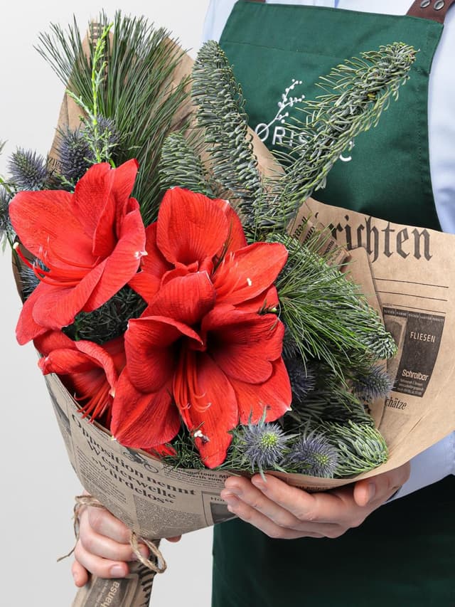 Новогодний букет из Амариллиса и Эрингиума «Рождественский Свет»