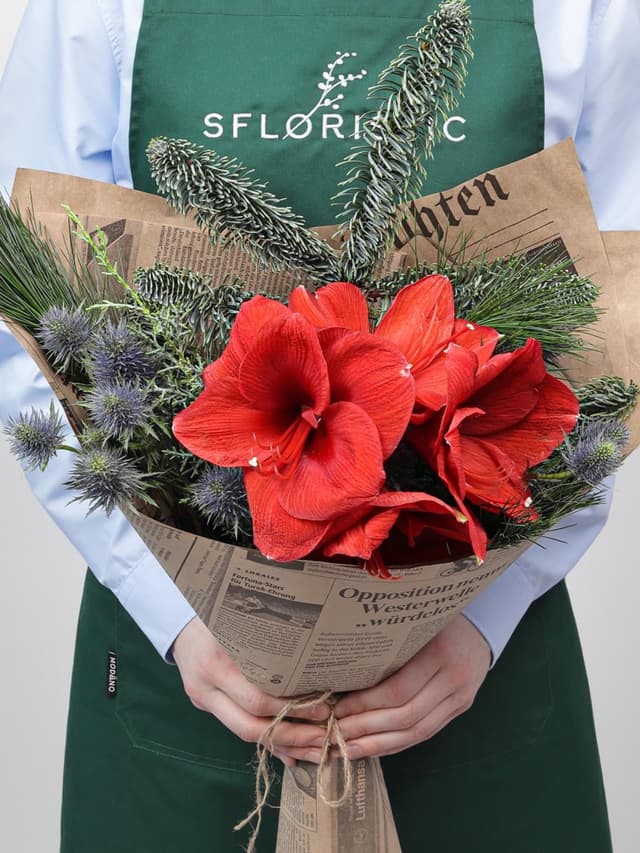 Новогодний букет из Амариллиса и Эрингиума «Рождественский Свет»