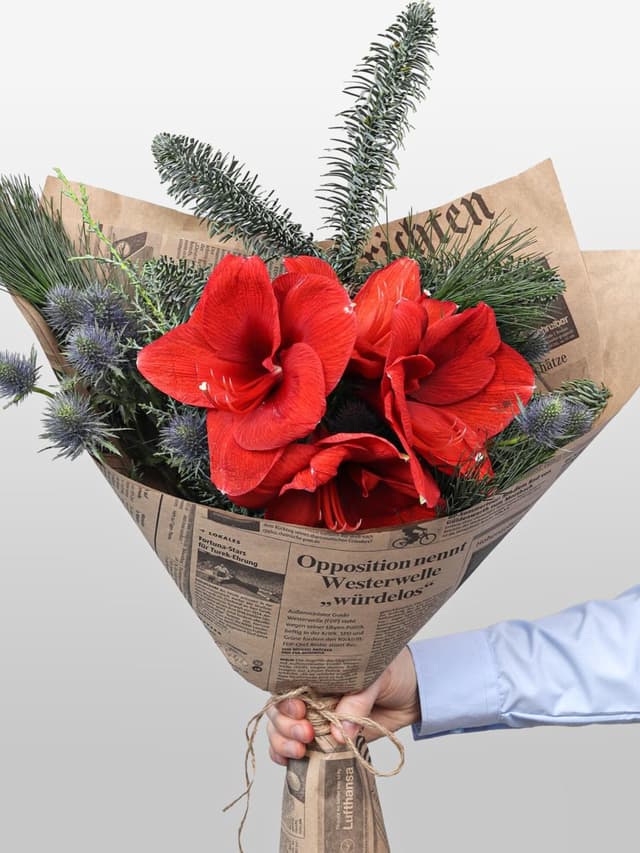 Новогодний букет из Амариллиса и Эрингиума «Рождественский Свет»