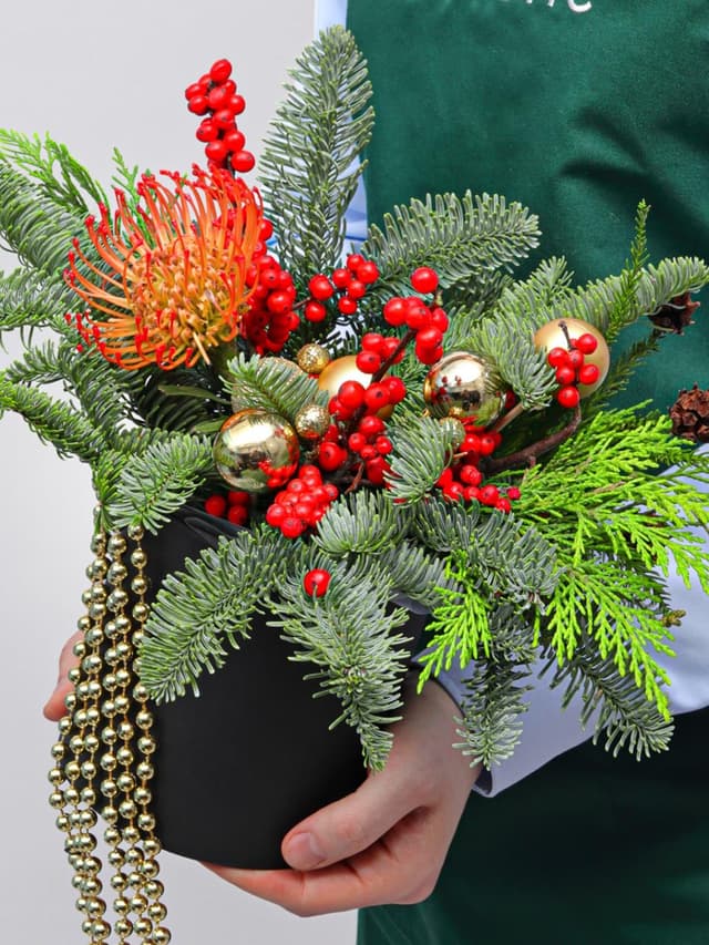 Композиция из Нобилиса, Туи и Леукаспермума в коробке «Путеводная Звезда»