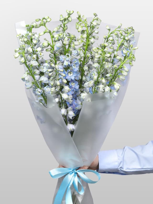 Букет из Дельфиниума 15 шт «Летний Дождь»