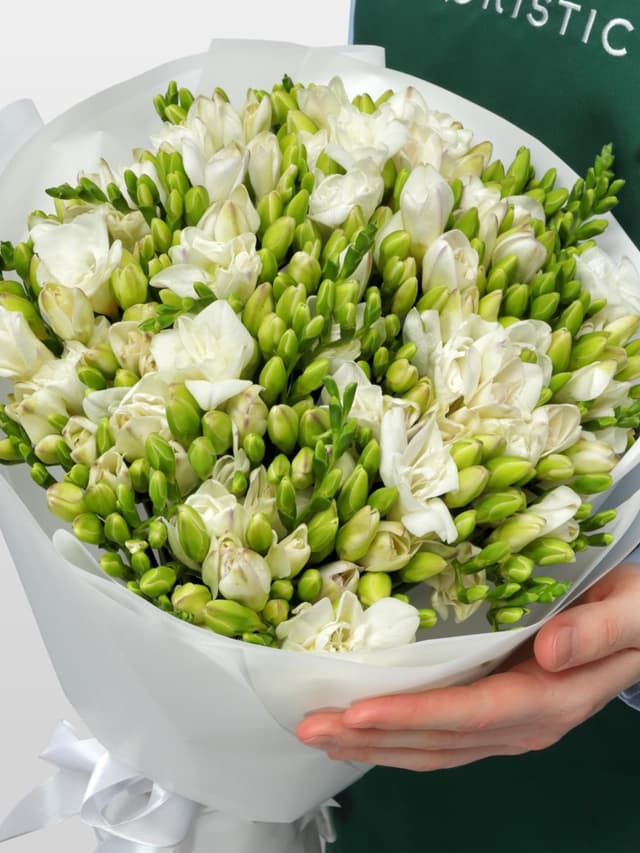 Букет из Белых Фрезий 51 шт «Ванильные сны»