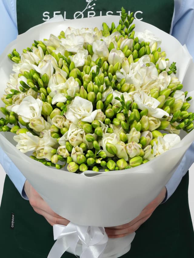 Букет из Белых Фрезий 51 шт «Ванильные сны»