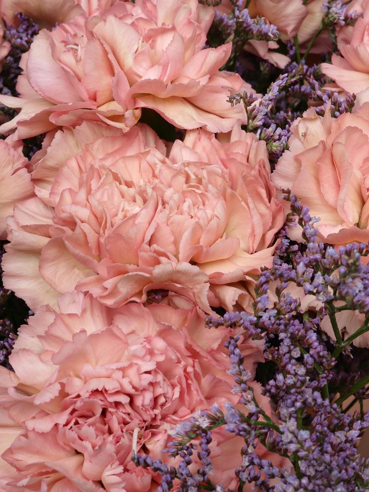 Букет из Гвоздик и Лимониума «Маленькое счастье»