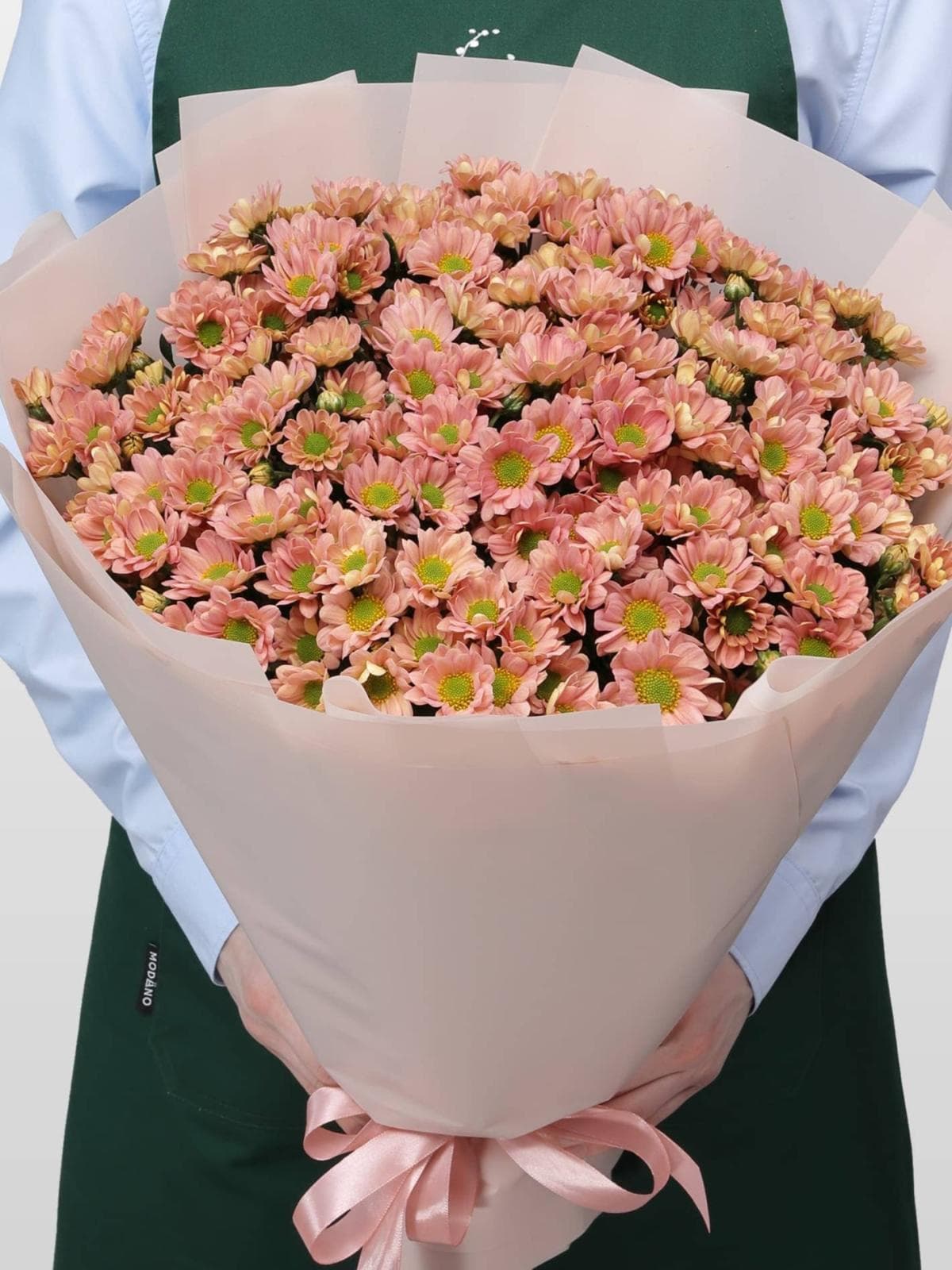 Букет из Персиковых Хризантем Сантини 25 шт «Персиковое облако»