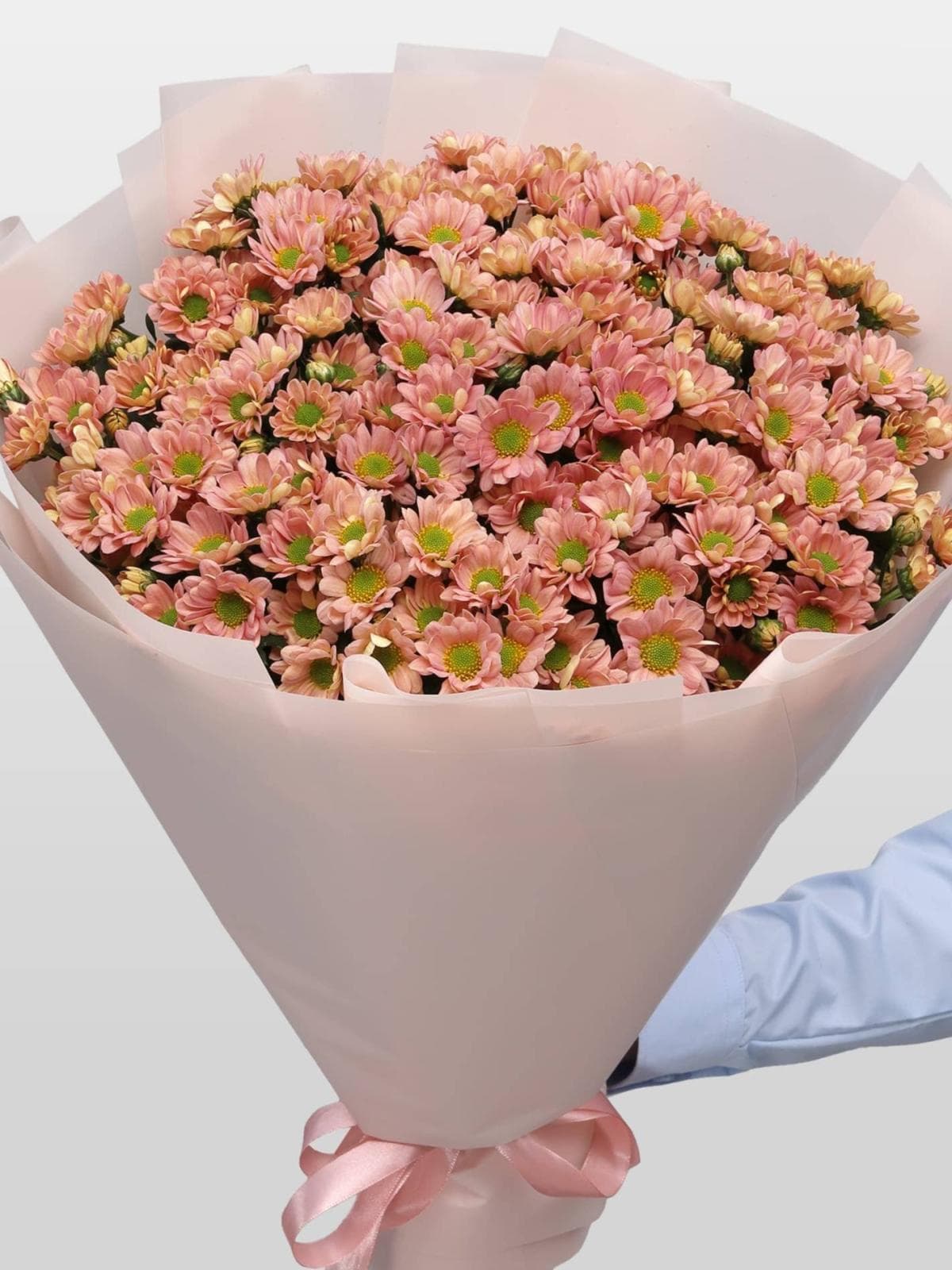 Букет из Персиковых Хризантем Сантини 25 шт «Персиковое облако»