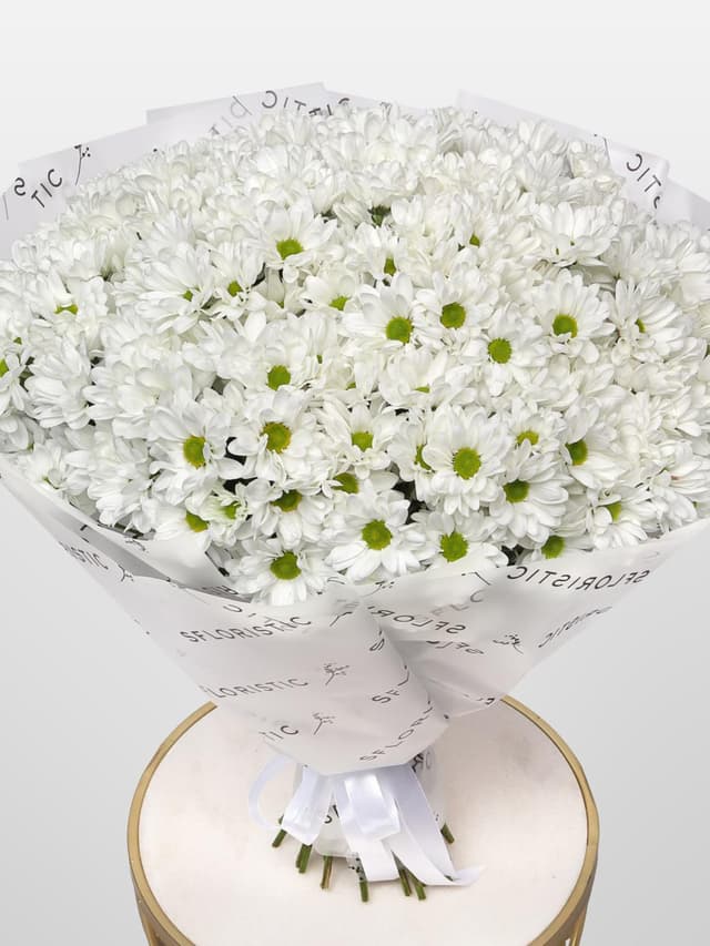 Букет из Белых Кустовых Хризантем 51 шт «Лавина нежности»