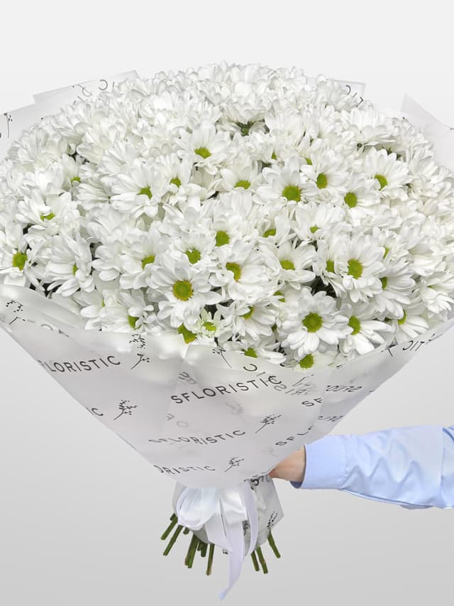 Букет из Белых Кустовых Хризантем 51 шт «Лавина нежности»