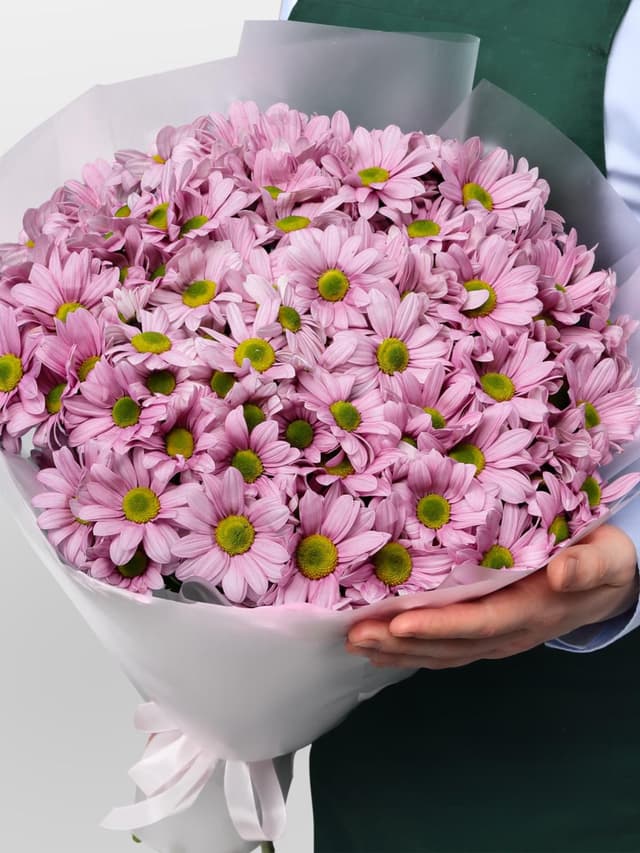 Букет из Розовых Кустовых Хризантем 15 шт «Розовое пралине»