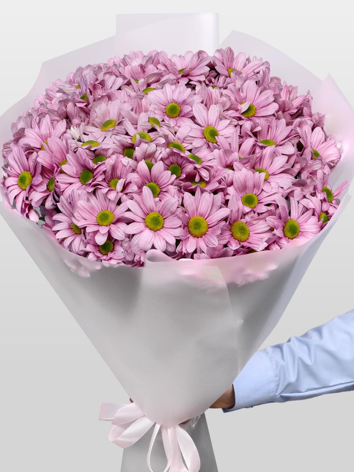 Букет из Розовых Кустовых Хризантем 15 шт «Розовое пралине»