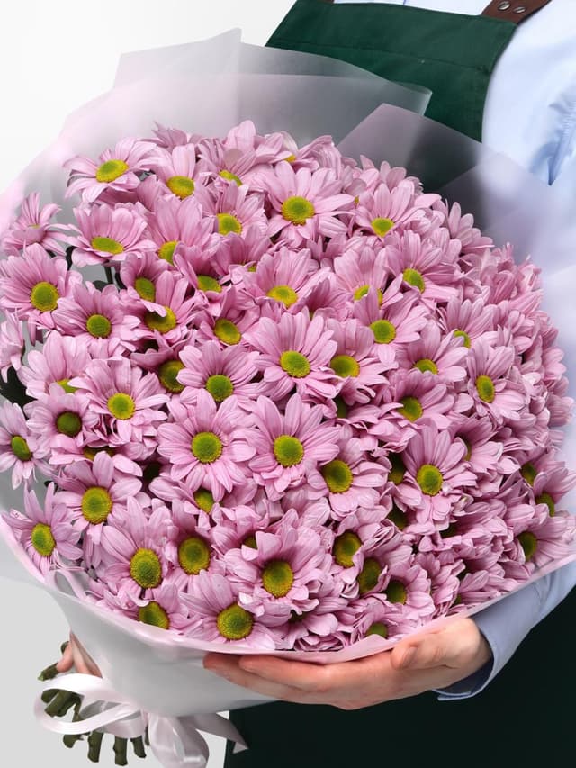 Букет из Розовых Кустовых Хризантем 25 шт «Балет»