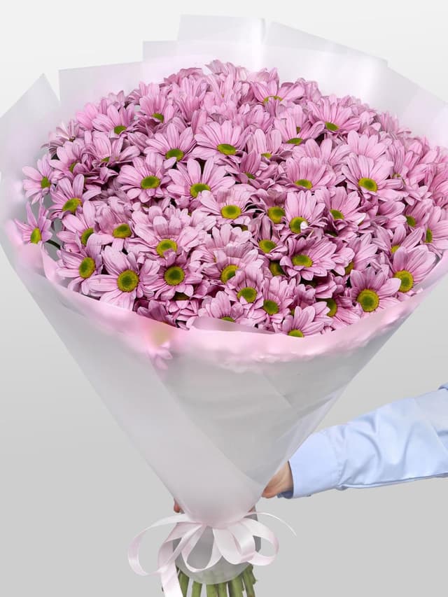 Букет из Розовых Кустовых Хризантем 25 шт «Балет»
