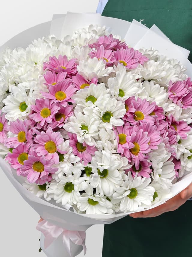 Букет из Розовых и Белых Кустовых Хризантем «Карусель»