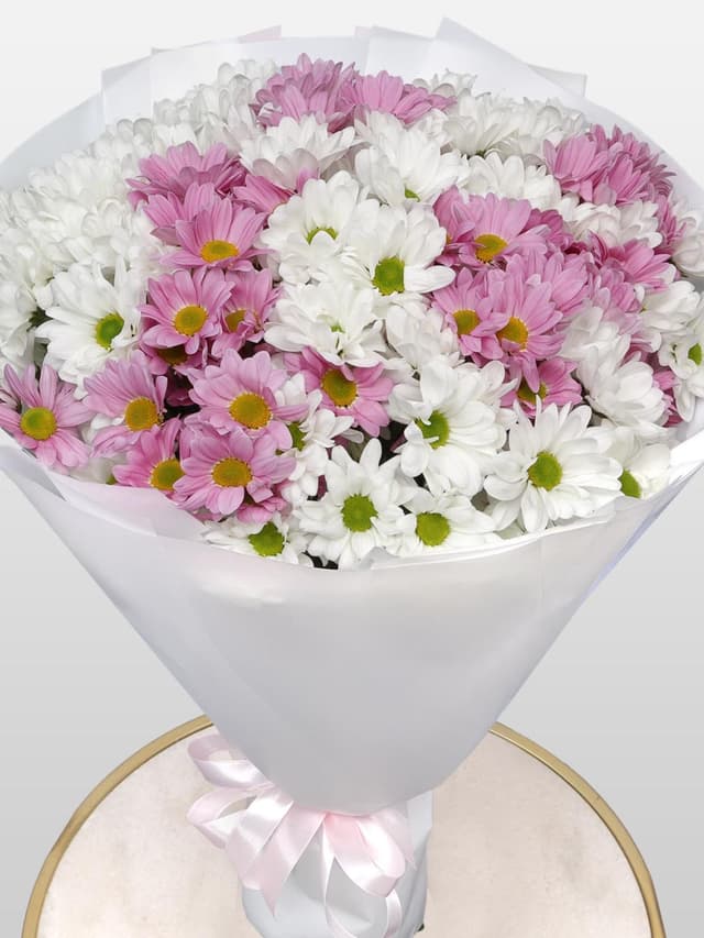 Букет из Розовых и Белых Кустовых Хризантем «Карусель»