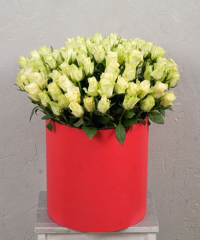 Белая роза Кения в коробке 101шт