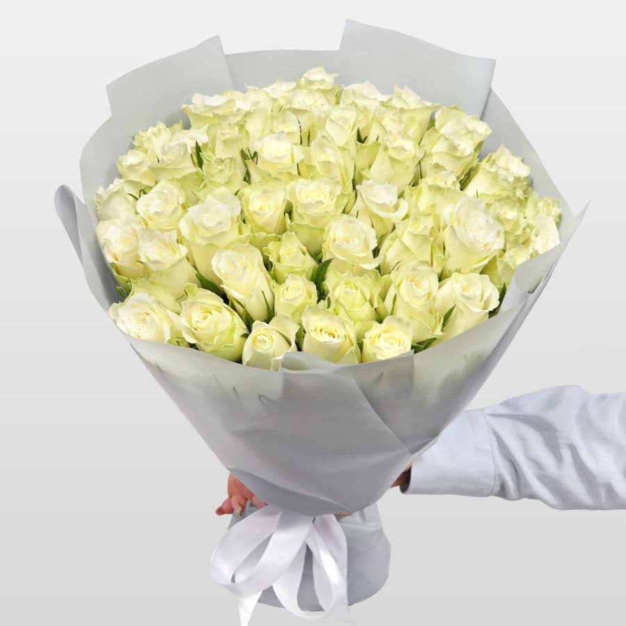 Роза Кения белая 51шт 40 см
