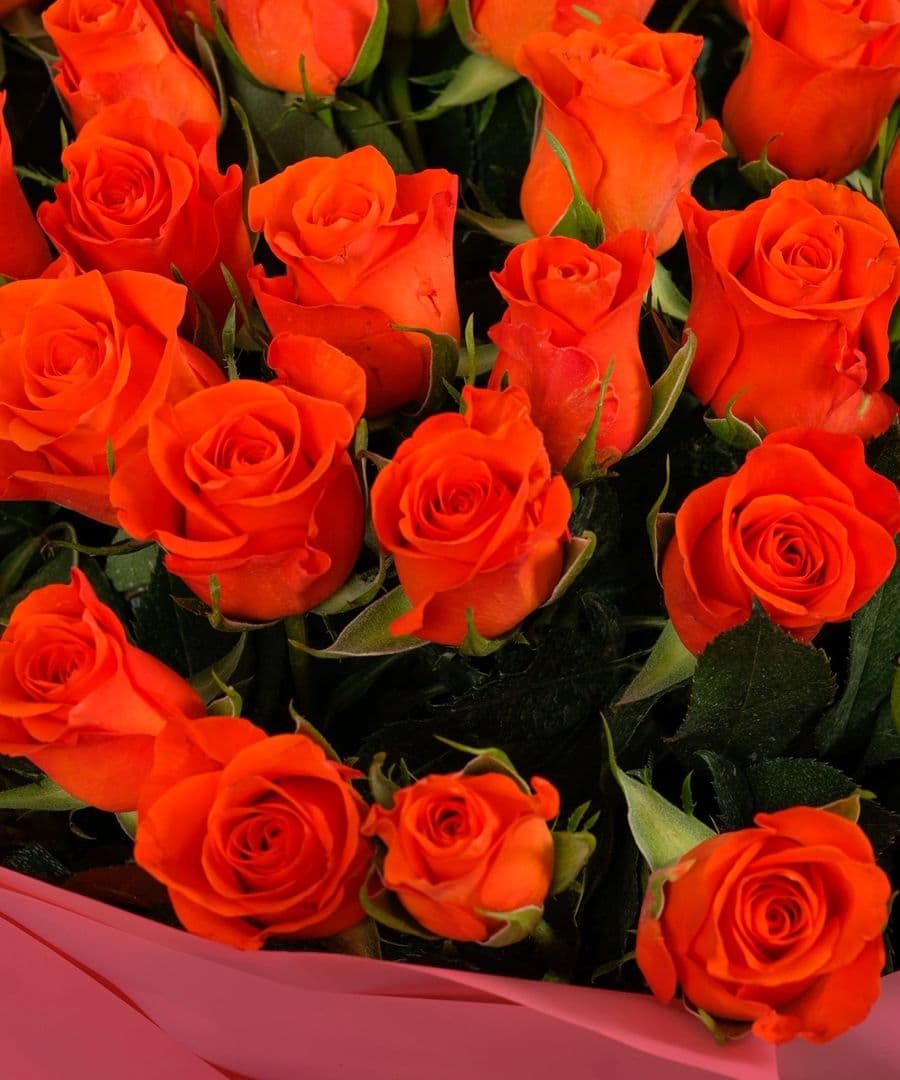 Роза Кения оранжевая 75шт 40 см