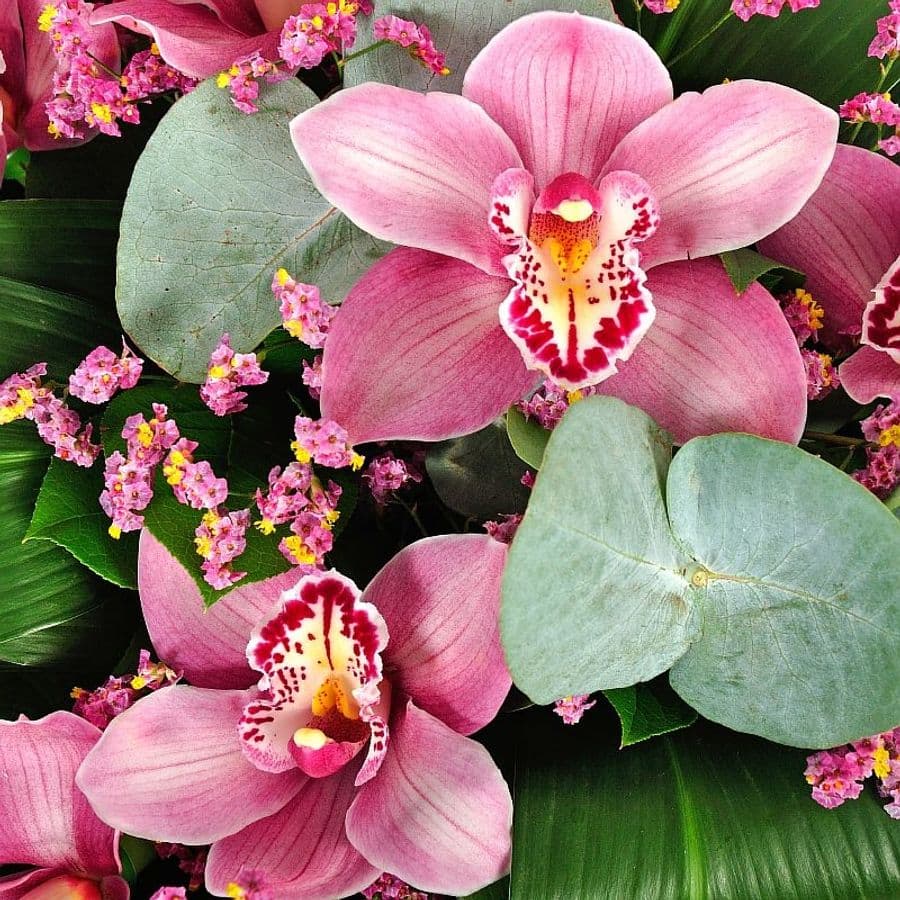 Букет из розовых Орхидей «Алия»