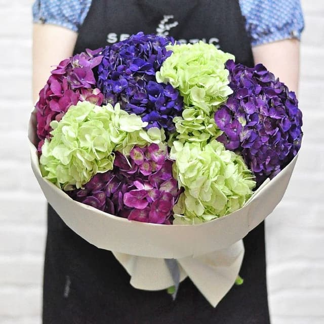 Букет из Гортензий «Амазонка»