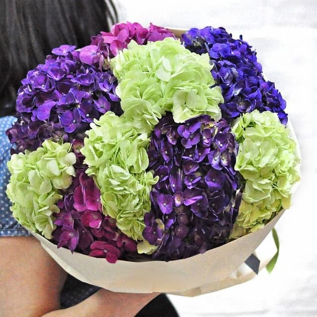 Букет из Гортензий «Амазонка»