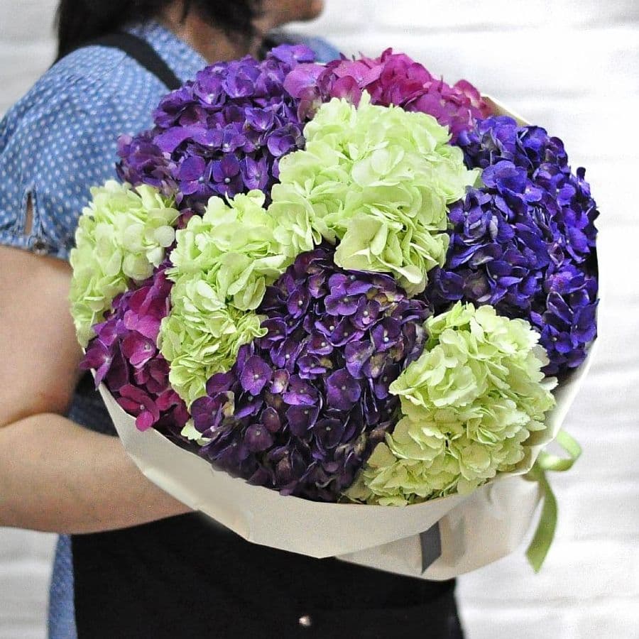 Букет из Гортензий «Амазонка»