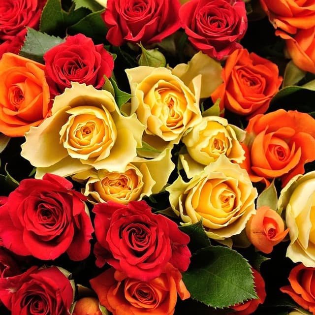 Букет из кустовых Роз «Заветная мечта»