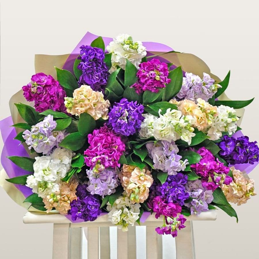 Букет Маттиол «Летнее пробуждение»