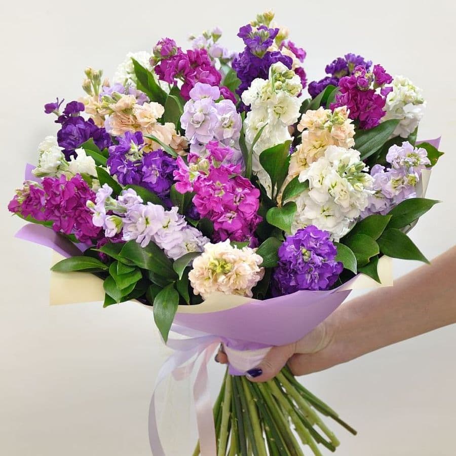 Букет Маттиол «Летнее пробуждение»