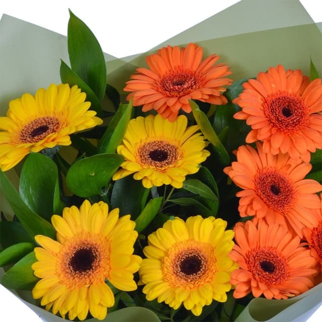 Букет из Гермини «Сочное настроение»