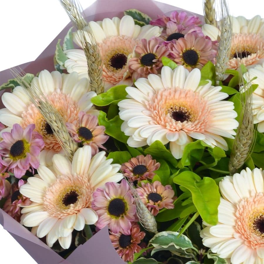 Сборный букет из гермини и кустовых хризантем "Полевая Романтика"