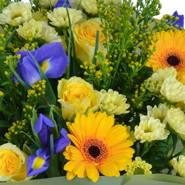 Букет из Гермини, Хризантем Сантини и Ирисов «Запах полей»