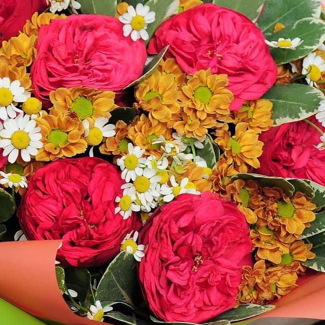 Букет из Матрикарии, Кустовой Хризантемы и Роз Ред Пиано «Мысли о тебе»