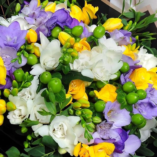 Букет из Фрезии и Гиперикума «Любимые фрезии»