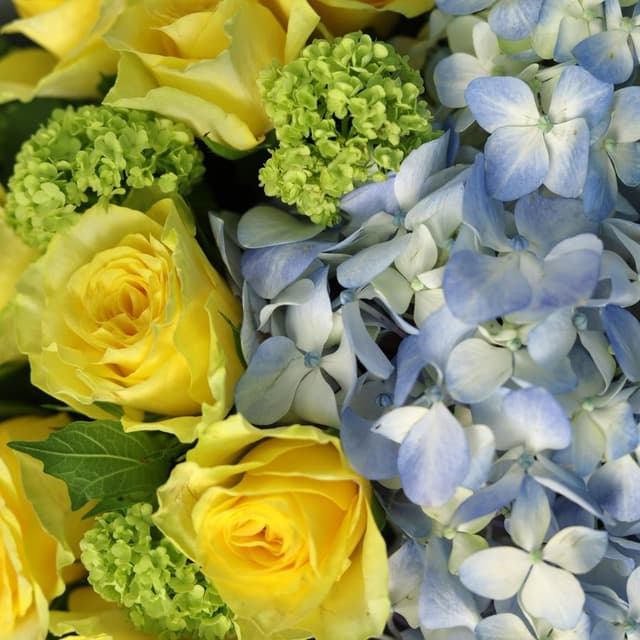 Букет из Гортензии и Роз «Заказ на море»