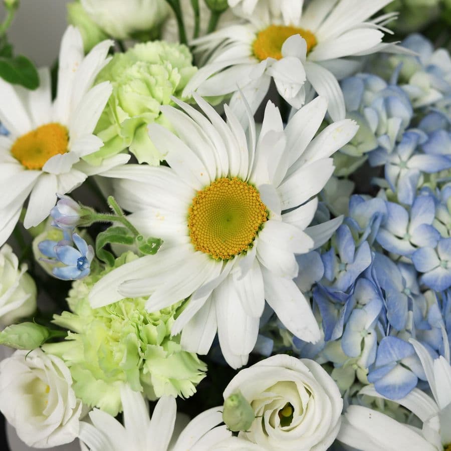 Букет из Гортензии, Ромашки и Эустомы «Мазок акварели»