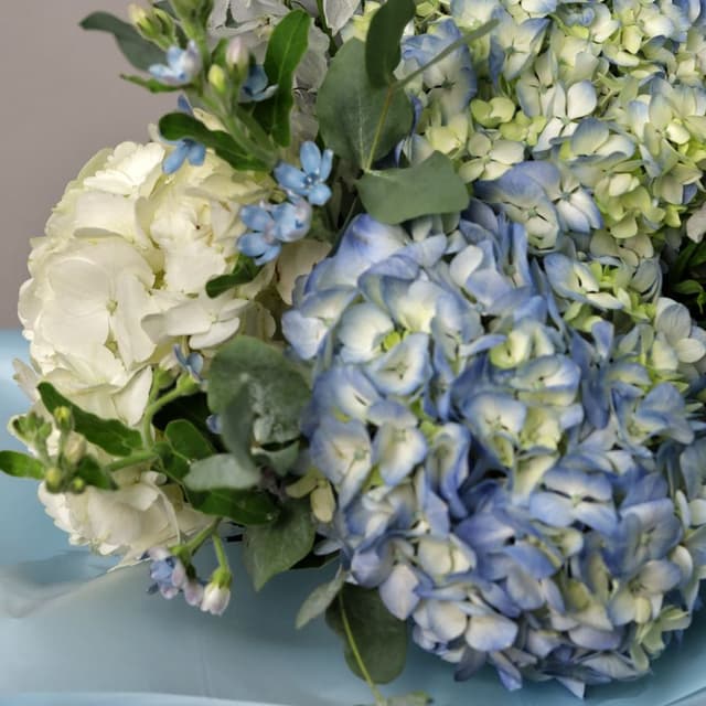 Букет из Гортензий и Дельфиниума «Дуновение ветра»