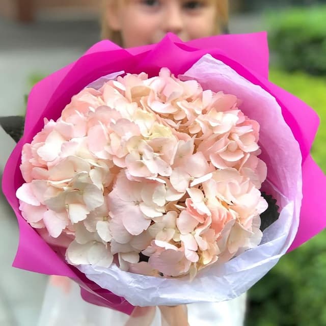 Букет из Розовой Гортензии «Доченьке»