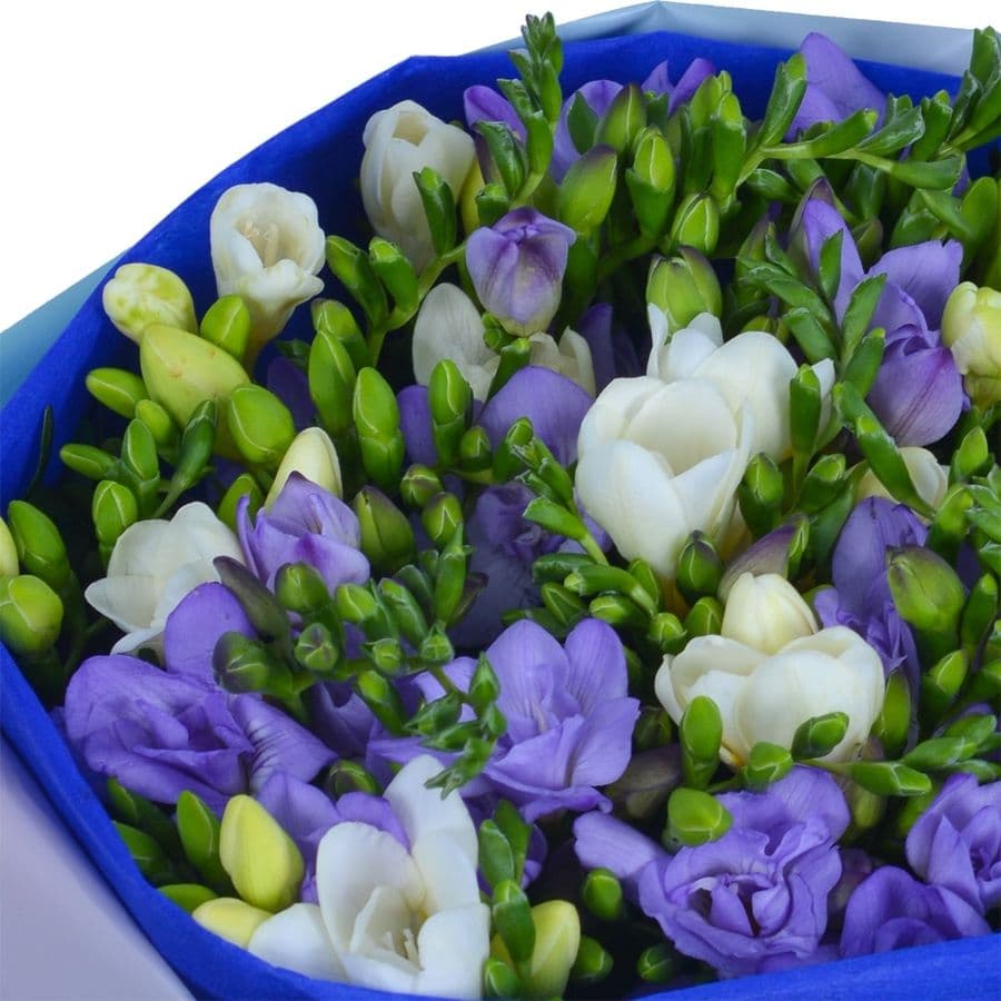 Букет из Фрезии «Лавандовые сны»