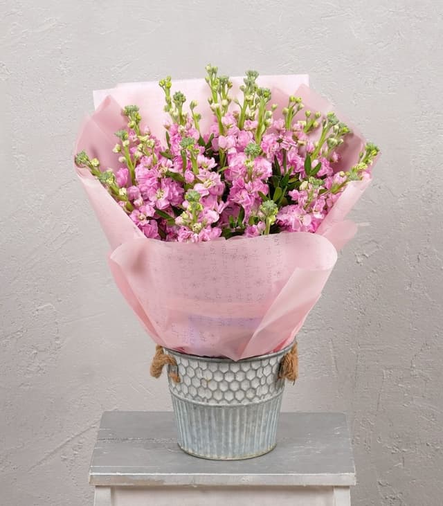 Букет из Маттиолы «Лавандовая Маттиола»