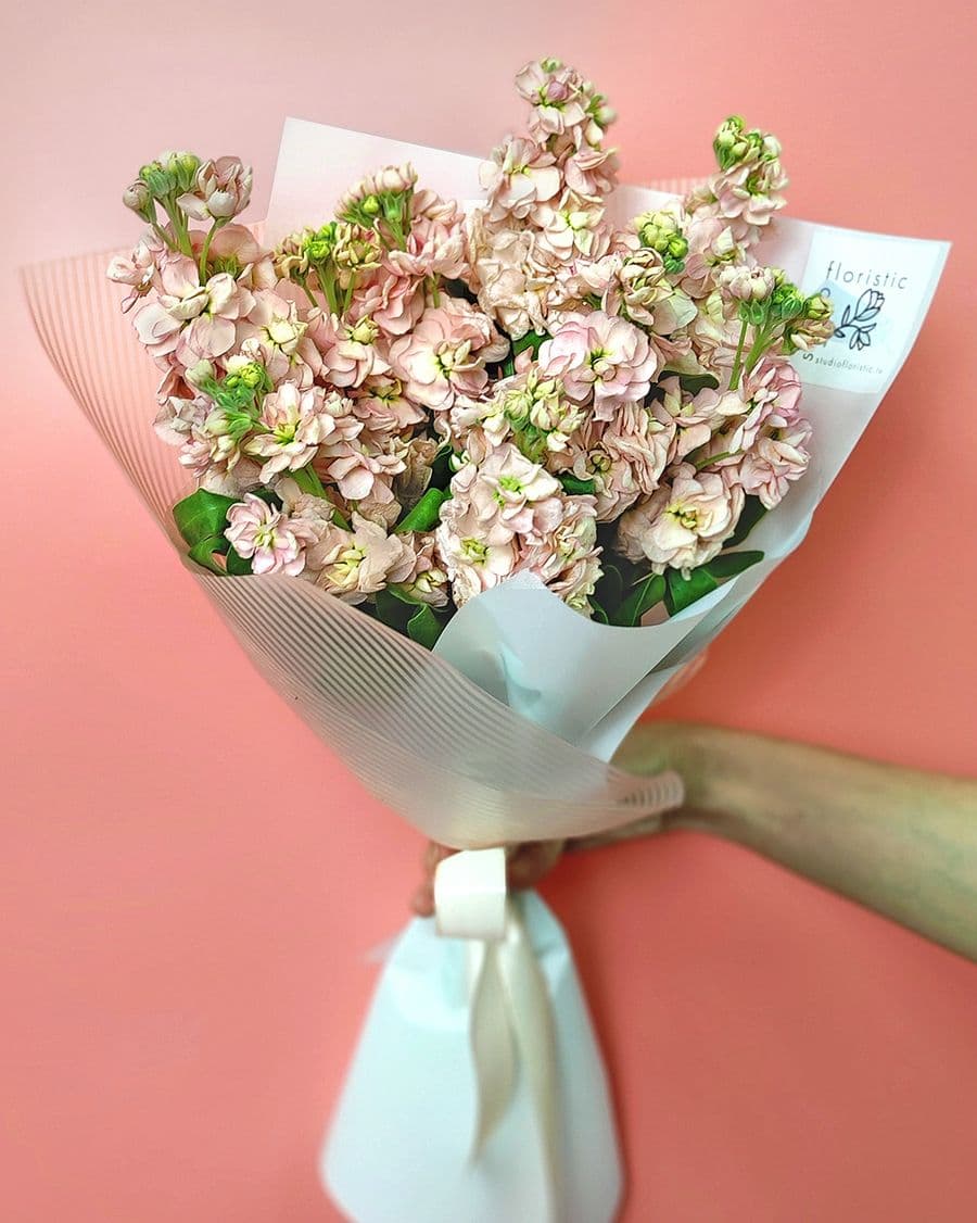 Букет из кремовых Маттиол «Уютная Сказка»